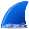 wireshark